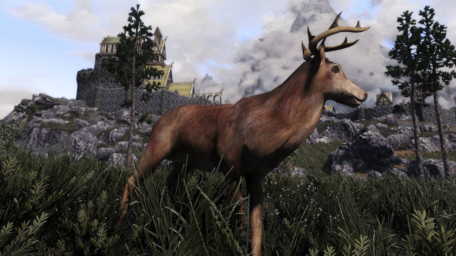 Screenshot from Skyrim showing a deer just outside the city walls of Whiterun.