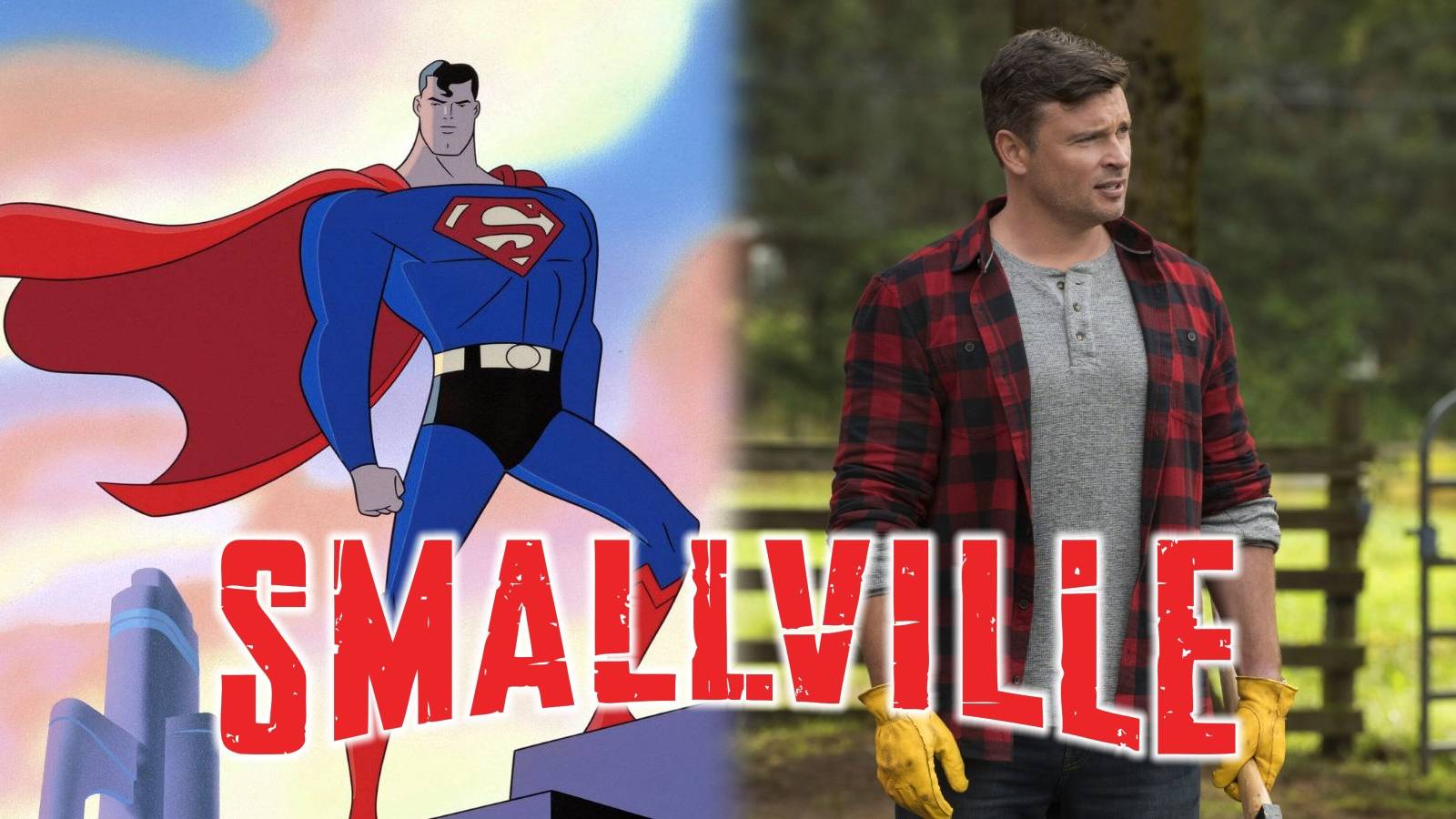 Smallville Superman Tom Welling animated