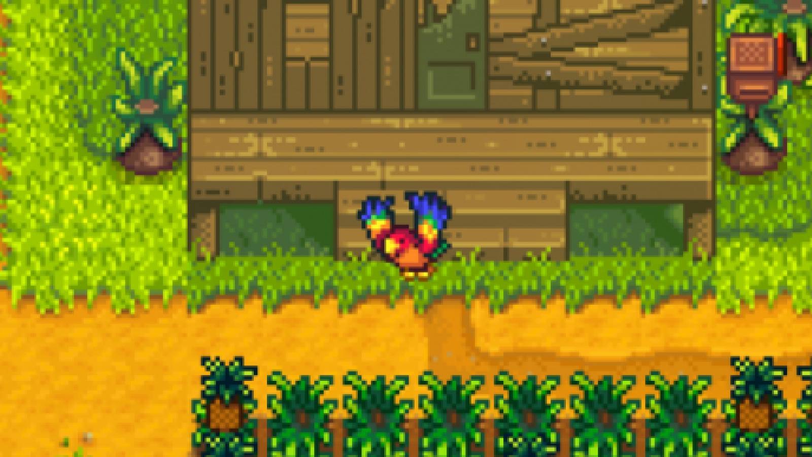 Stardew Valley Ginger Island Parrot