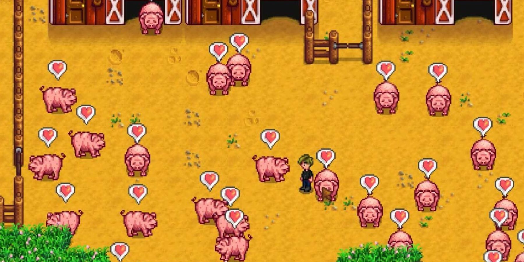 stardew valley pigs