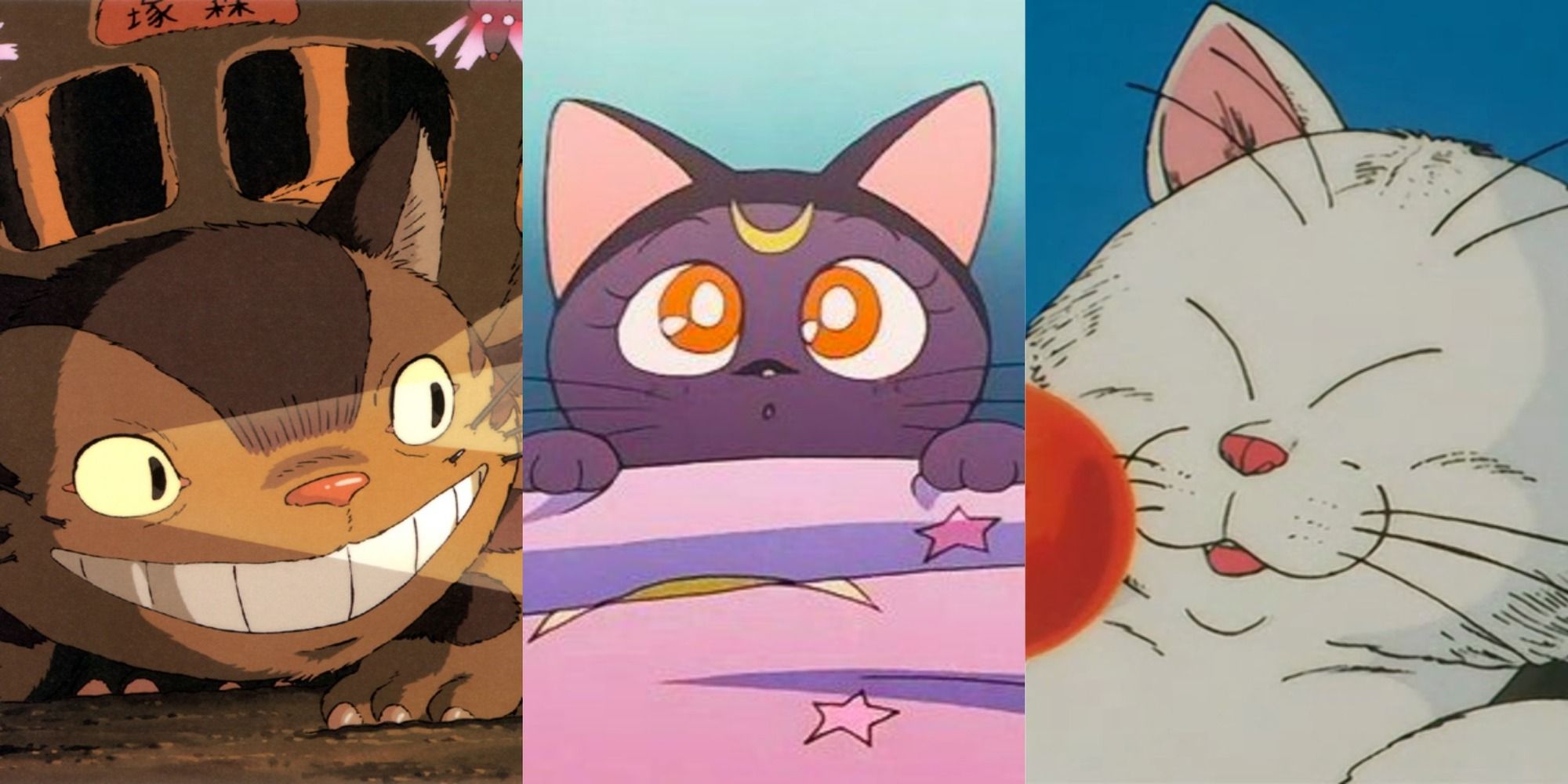 33 cutest anime cats: most popular kitties from films and shows 