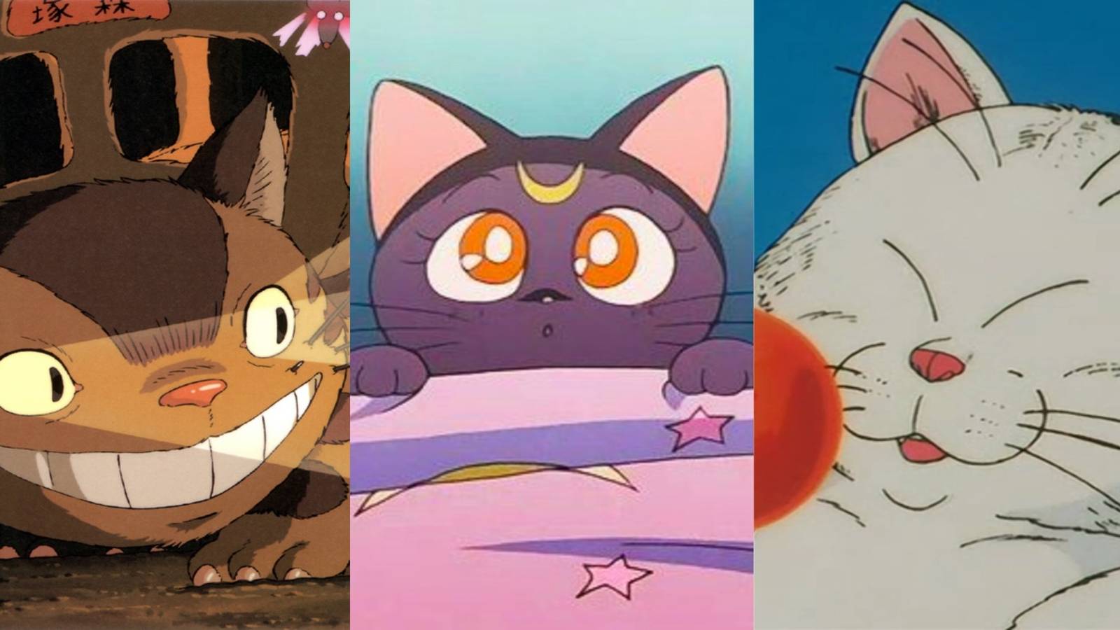 title split image the Catbus Luna Karin