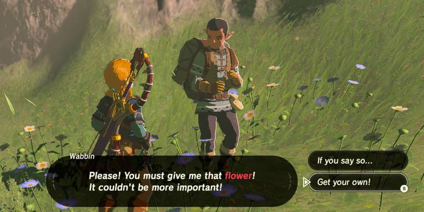 Link speaks to Wabbin in Breath of the Wild. Wabbin is asking for a specific flower.