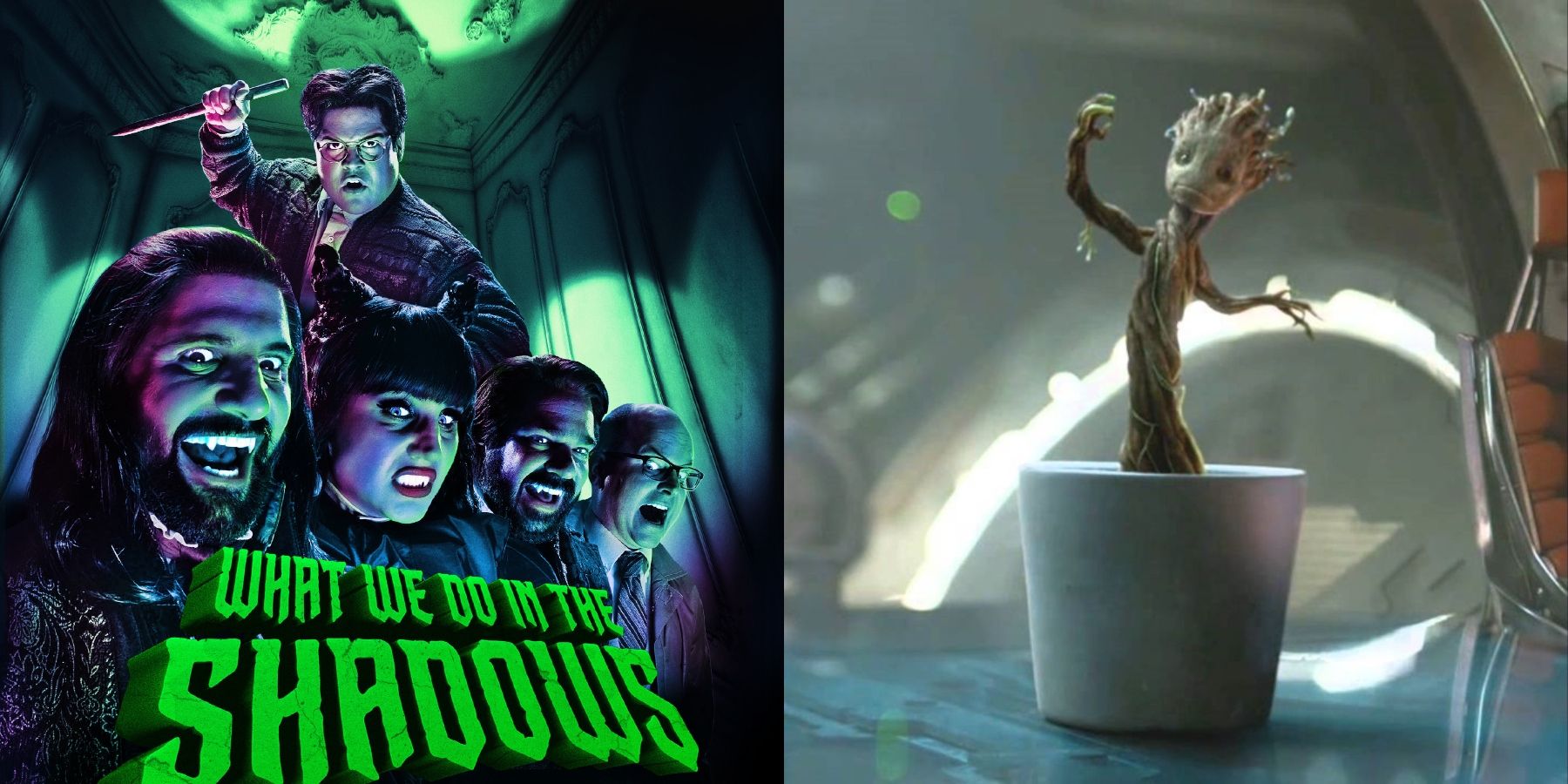 what we do in the shadows gotg groot