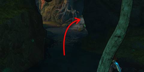 8th Lucky Dice Location in Weepwild Dankness in Tiny Tina’s Wonderlands.