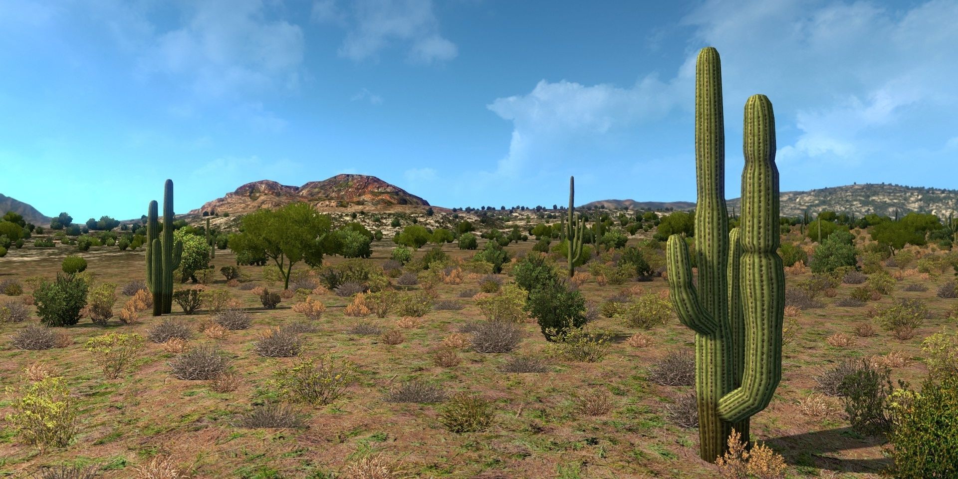 American Truck Simulator Enhanced Vegetation Cactus