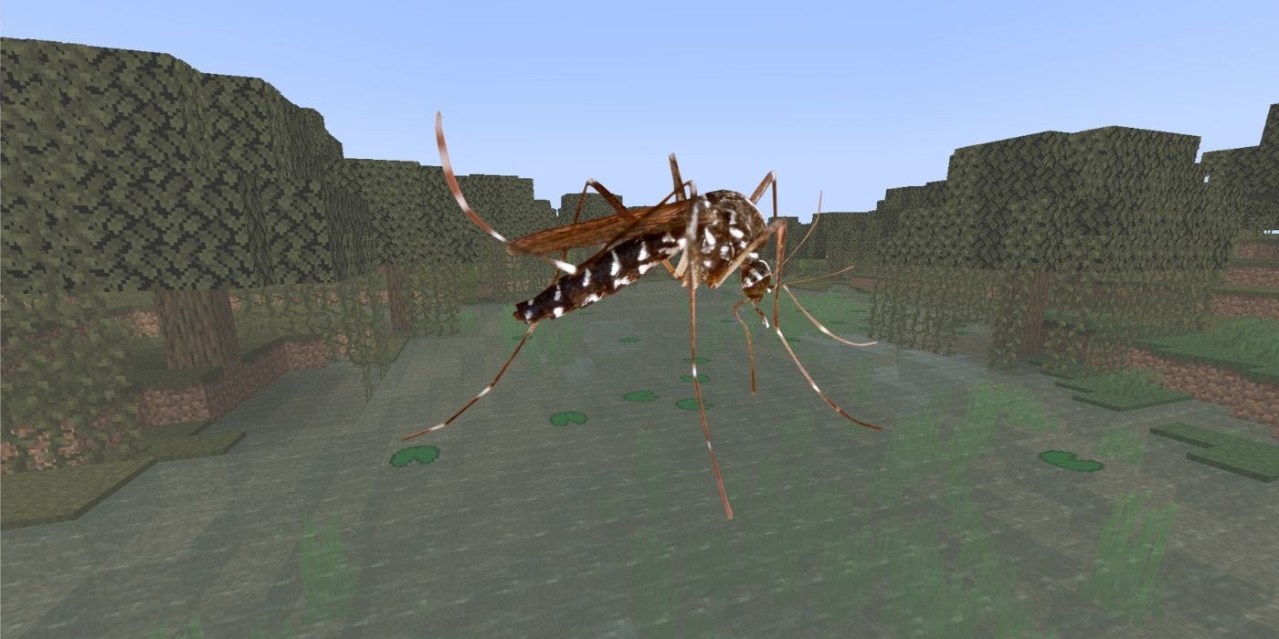 Animals That Should Be Added To Minecraft Insects