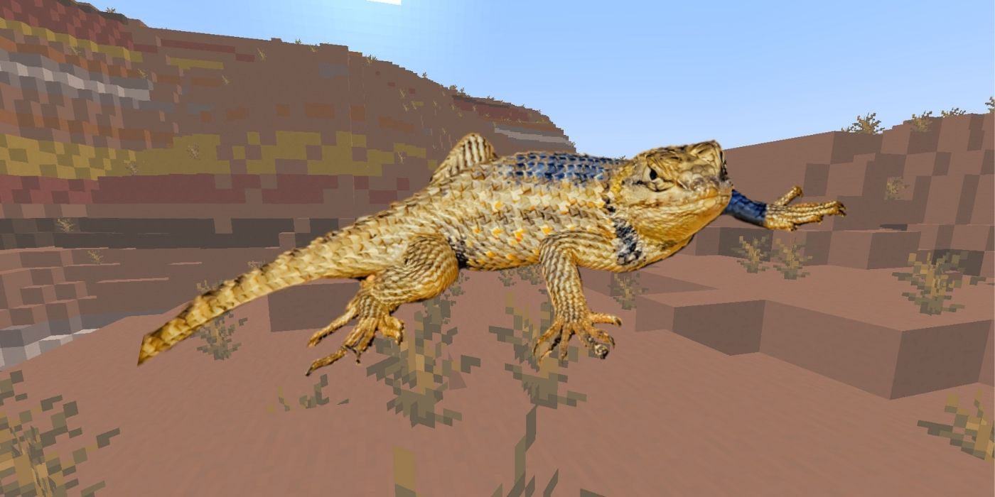 Animals That Should Be Added To Minecraft Lizards