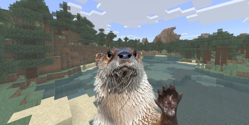 Animals That Should Be Added To Minecraft Otters