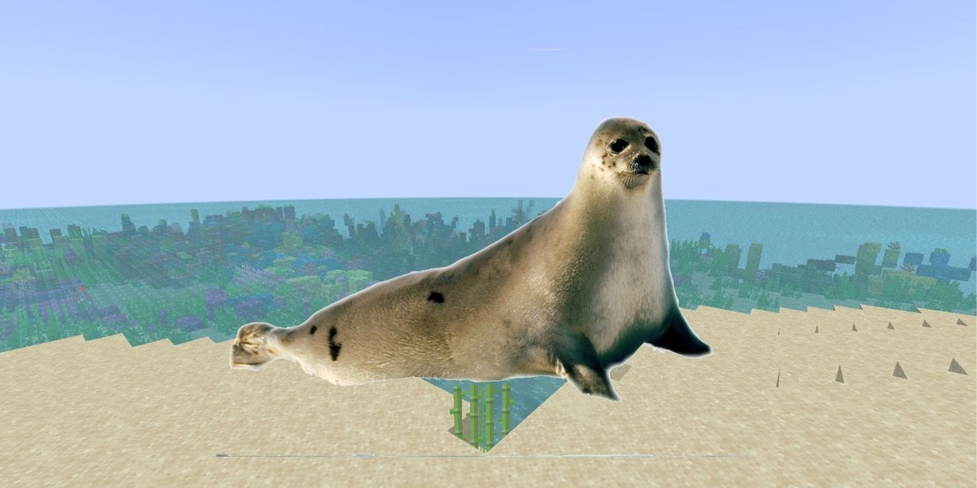 Animals That Should Be Added To Minecraft Seals