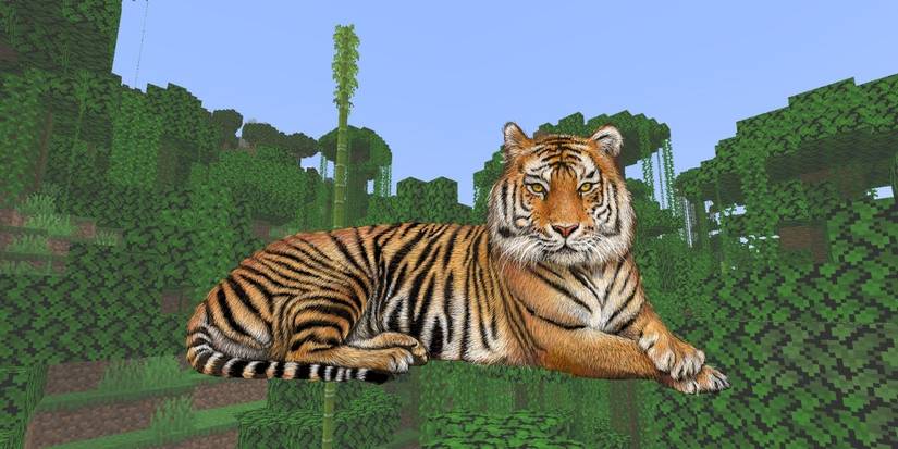 Animals That Should Be Added To Minecraft Tigers