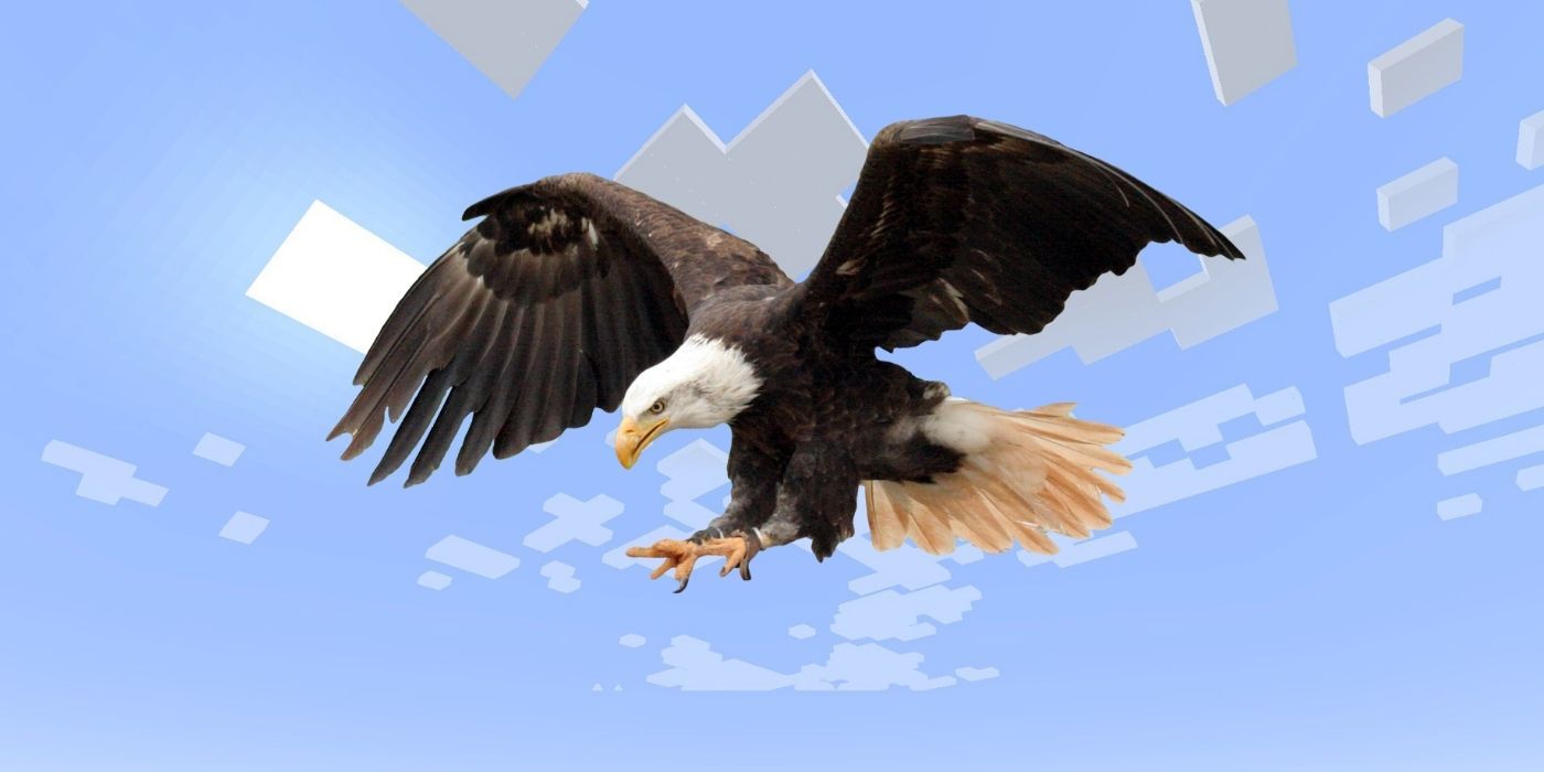 Animals That Should Be Added To Minecraft birds of prey