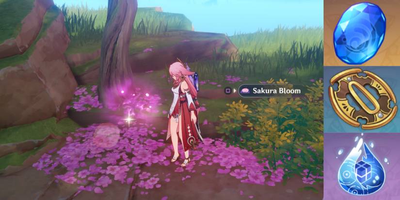 Ayato's needed items for ascension in Genshin Impact