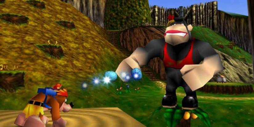 Banjo & Kazooie firing eggs at Conga the Ape on Mumbo's Mountain