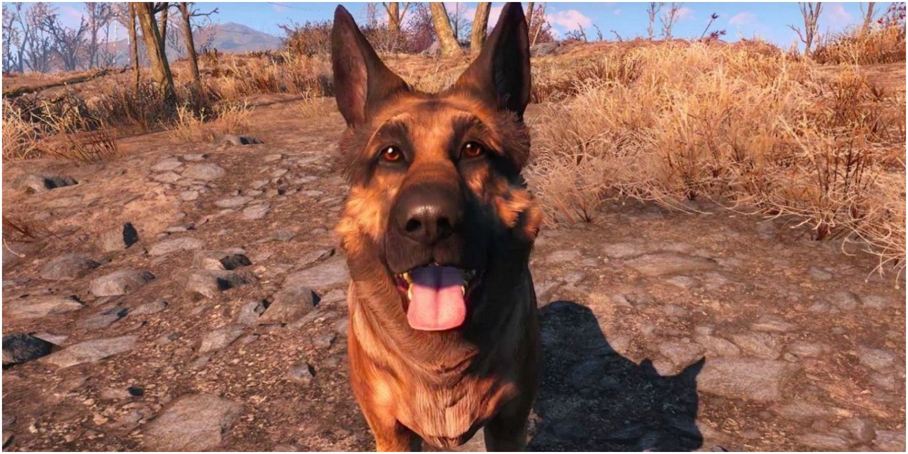 The Top 10 Dogs in Video Games - IGN