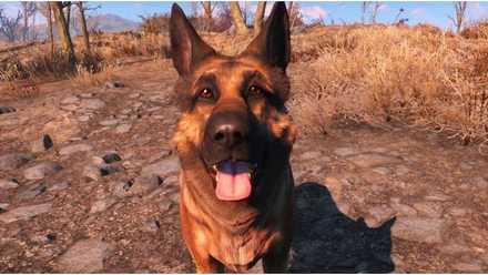Best dogs in game protection