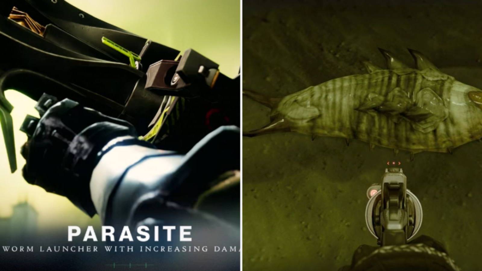 Destiny 2 Parasite Grenade Launcher And Worm