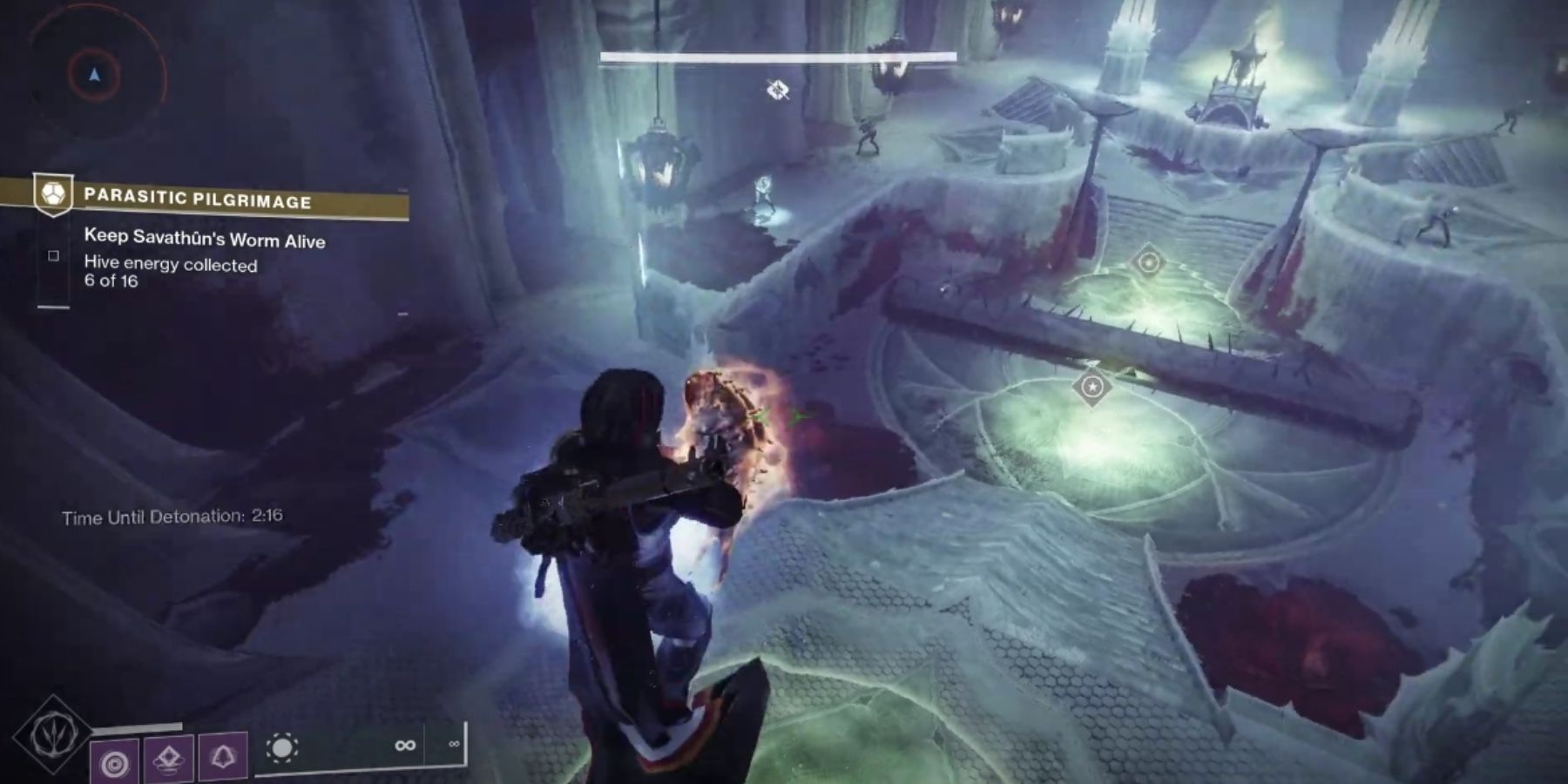 Destiny 2 Player Holding Worm In Parasitic Pilgrimage