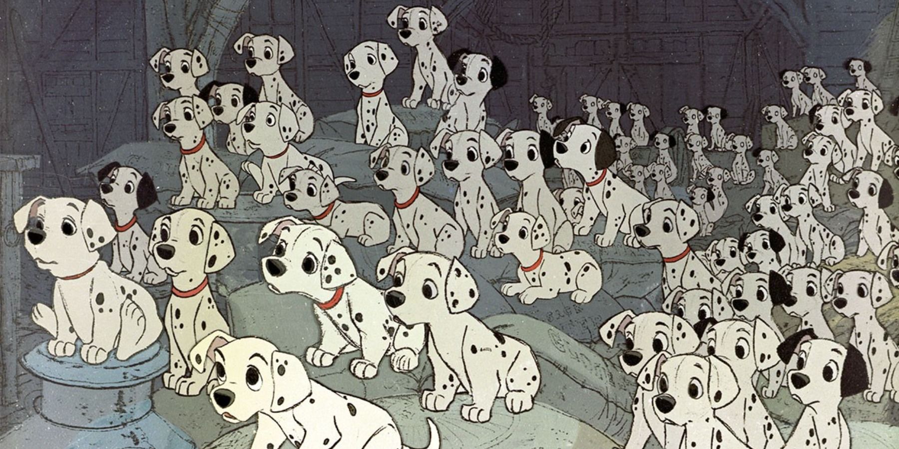 101 Dalmatians puppies