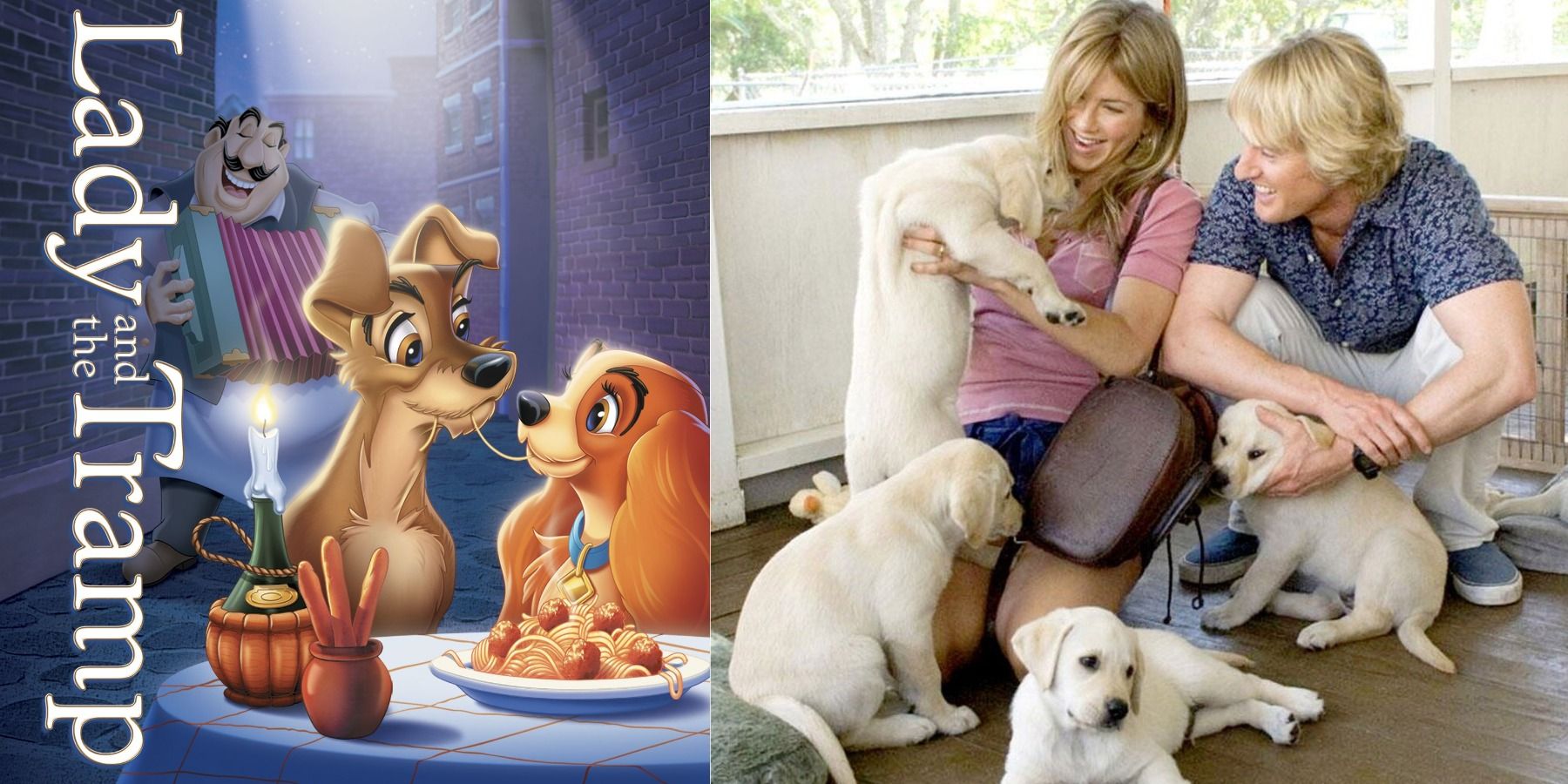Best Dog Movies, Ranked