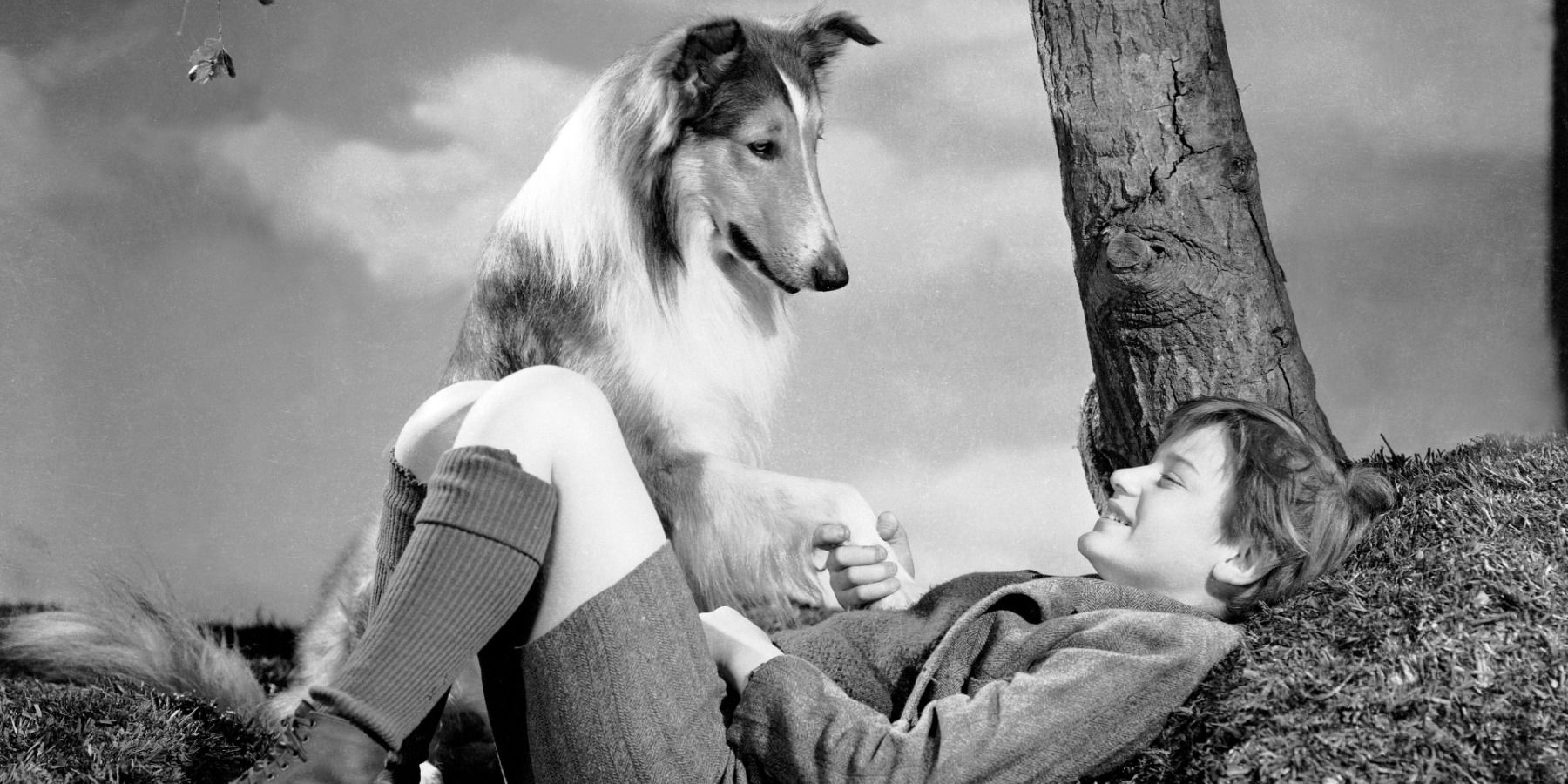 Lassie and boy sitting under a tree