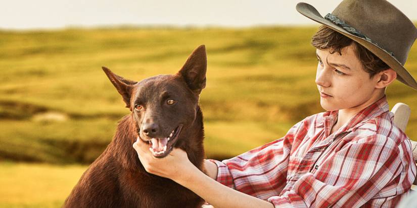 Red Dog True Blue dog and boy