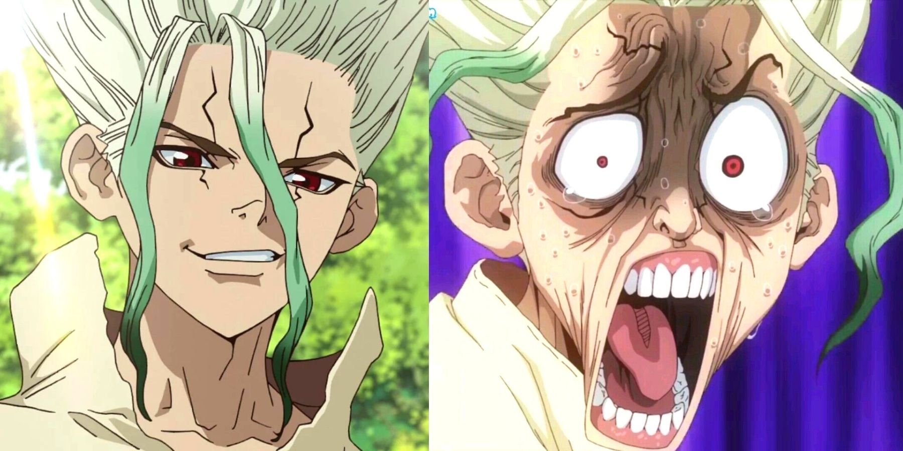 Dr. Stone Senku Ishigami Funny Face