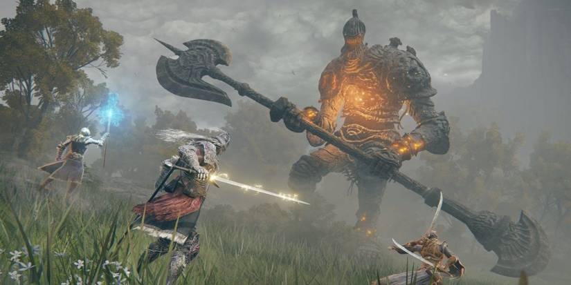 A group of Elden Ring's Tarnished taking on a towering foe together outdoors