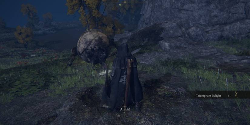 Elden Ring Alexander Iron Fist NPC Location Free From Being Stuck