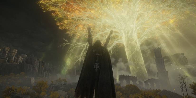 Tarnished Using Triumphant Delight Gesture In Front of Erdtree