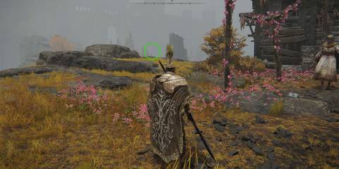Elden Ring Cliffside Puzzle Solution Windmill Vilalge