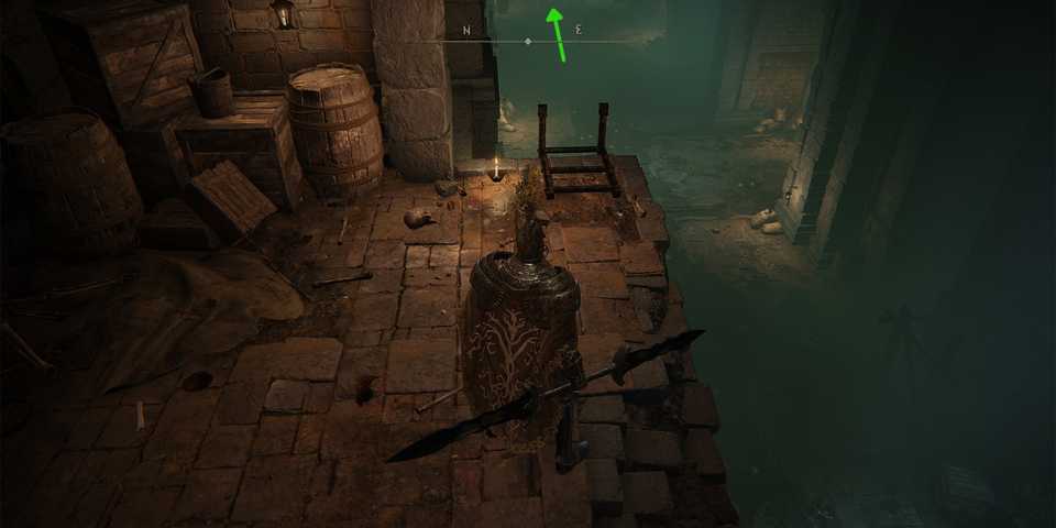 Elden Ring Down Ladder Towards Grates