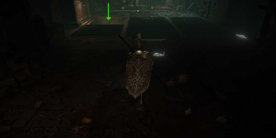 Elden Ring Down Through Grates