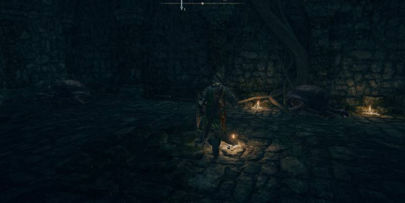 Elden Ring Green Turtle Talisman Tortoises Everywhere