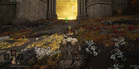 Elden Ring Huge Gate Through Windmill Village