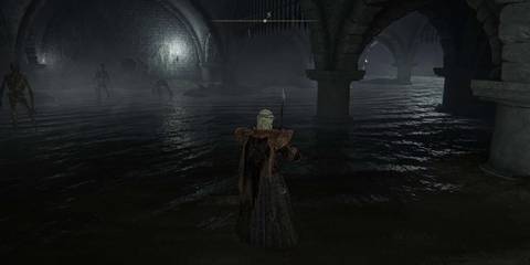 Elden Ring Impalers Catacombs Water Area