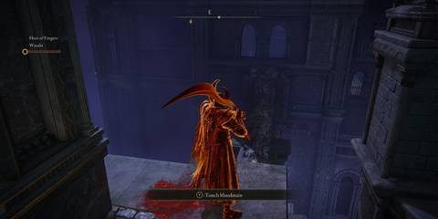 Elden Ring Mimic Tear Across Bridge