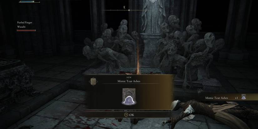 Elden Ring Mimic Tear Ashes