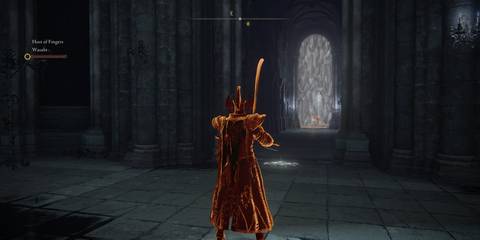 Elden Ring Mimic Tear Door