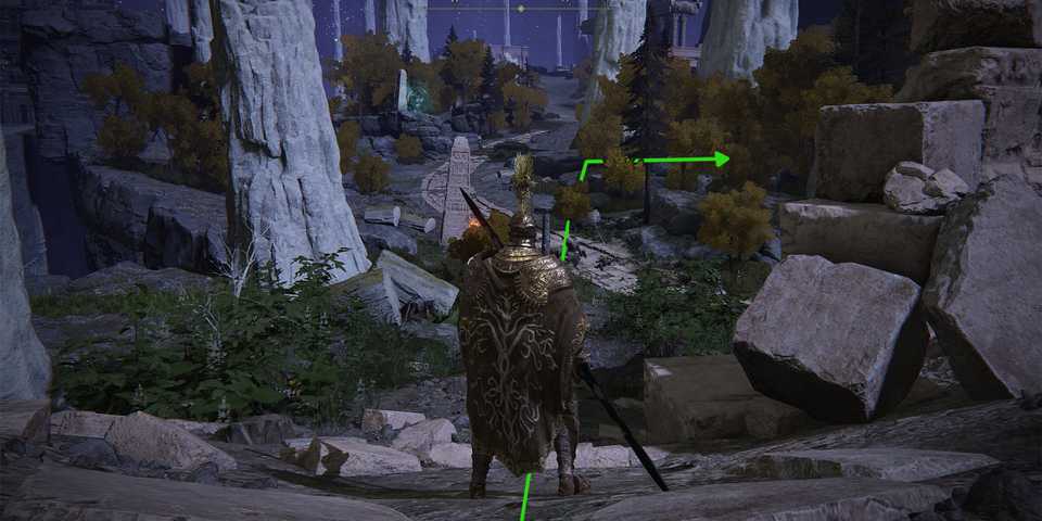 Elden Ring Nokron Jellyfish Forest Area