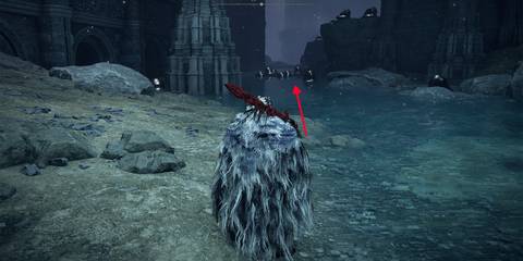 Elden Ring Past Silver Tears Nokstella