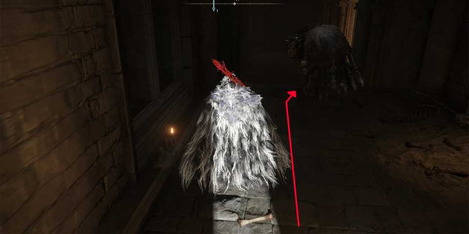 Elden Ring Placidusax Hallway Path