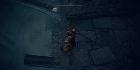 Elden Ring Pustule Climbing Down