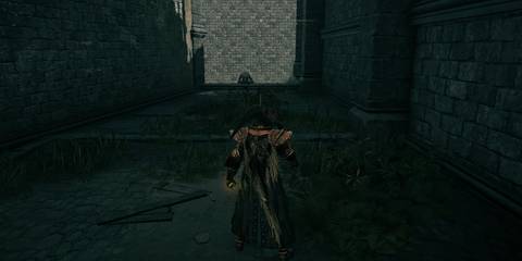 Elden Ring Pustule Path Edge