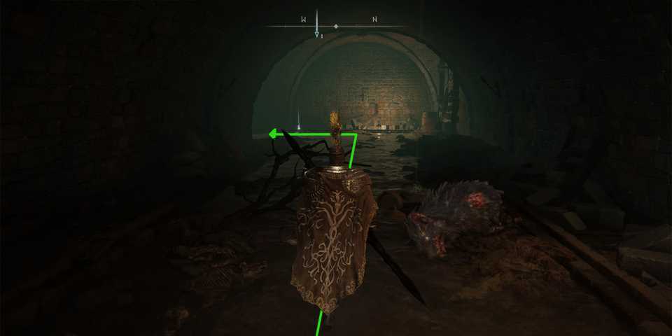 Elden Ring Rat Infested Sewer Path Left
