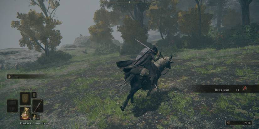 Mossback Runebear Elden Ring: How To Beat A Runebear