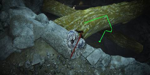 Elden Ring Sealed Tunnel Down Tree Branches