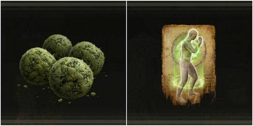Elden Ring Split Image Cure Poison