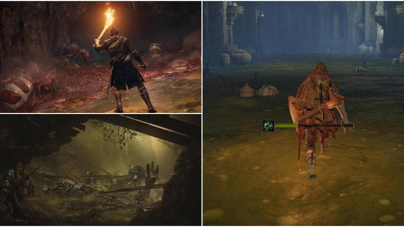 Elden Ring Split Image How To Cure Poison