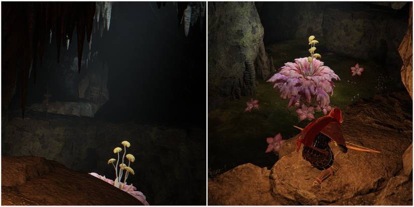 Elden Ring Split Image Sage Armor Set Third Step